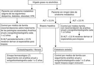 Actitud y seguimiento ante un paciente con HGNA. ALT: alanino aminotransferasa; HGNA: hígado graso no alcohólico; HTA: hipertensión arterial.