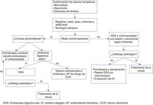 Aproximación al diagnóstico de anemia ferropénica. AF: antecedentes familiares; CCR: cáncer colorrectal; EDA: endoscopia digestiva alta; ID: intestino delgado.