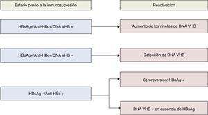 Tipos serológicos y virológicos de reactivación del VHB según los marcadores al inicio del tratamiento inmunosupresor*. *Modificado del original de Hwang et al.26.