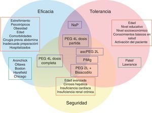 Representación gráfica de la confluencia entre eficacia, seguridad y tolerancia de una preparación para colonoscopia. La eficacia y tolerancia pueden ser evaluadas con escalas validadas de medición (recuadro verde). Los factores influyentes en cada uno de los aspectos conocidos se muestran en los recuadros rojos. Las preparaciones más utilizadas (recuadros azules) están ubicadas en los círculos según su perfil de eficacia, seguridad o tolerancia. Por ejemplo el polietilenglicol 4l (PEG 4l) en dosis partida se encuentra en la confluencia de los 3 círculos, es decir tiene buen perfil de eficacia, seguridad y tolerancia, a diferencia del fosfato sódico (NaP), que tiene buen perfil de tolerancia y eficacia pero no de seguridad, por lo que se encuentra fuera del círculo amarillo. ascPEG 2l: ácido ascórbico con polietilenglicol 2l;NaP: fosfato de sodio; PEG: polietilenglicol; PiMg: picosulfato de sodio y citrato de magnesio.