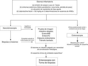 Algoritmo 2. Enfoque diagnóstico de la diarrea crónica inflamatoria. 1 Determinadas entidades pueden ser difíciles de diagnosticar si no existe sospecha clínica (por ejemplo, enfermedad de Whipple). En estos casos está indicada la exploración endoscópica del intestino delgado con enteroscopia para la toma de biopsias. 2 Cultivo de biopsia para gonorrea. 3 PCR en tejido para linfogranuloma venéreo y herpes simple.