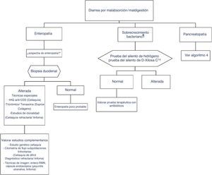 Algoritmo 3. Enfoque diagnóstico de la diarrea crónica per enteropatía y sobrecrecimiento bacteriano. * Sospecha de enteropatía: grupo de riesgo para enfermedad celiaca (familiares, síndrome de Down, enfermedades sistémicas autoinmunes organoespecíficas, clínica compatible, etc.), viajes a países tropicales, celiaquía con mala evolución, toma de olmesartán, etc. ** Sospecha de sobrecrecimiento bacteriano: alteración estructural del intestino (p.ej., by-pass, estenosis) o trastorno de la motilidad.