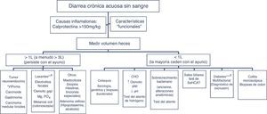 Algoritmo 5. Enfoque diagnóstico de la diarrea crónica acuosa sin sangre. Otras causas de <1l/día: medicamentos, hipertiroidismo, alcohol. * Frecuencia de falsos positivos de un panel de niveles de péptido séricos del 45% (valor predictivo positivo <1%); solo pedir estos niveles si hay síntomas o signos de un síndrome tumoral (tabla 11) o si presentan un tumor en TC/RM o en Octreoscan. ** Puede ser de grande o bajo volumen dependiendo de la dosis ingerida, puede responder al ayuno. El hallazgo de melanosis coli en la colonoscopia sugiere el uso de laxantes antraquinónicos como senna y cáscara sagrada. *** La diarrea en pacientes diabéticos puede ser de origen multifactorial: ingesta de fructosa en exceso, sobrecrecimiento bacteriano, riesgo aumentado de celiaquía y colitis microscópica en DM tipo1, uso de algunos fármacos (metformina, acarbosa), neuropatía vegetativa. CHO: hidratos de carbono (lactosa, fructosa y/o sorbitol).