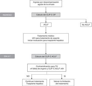 Algoritmo para establecer el diagnóstico y la evaluación secuencial del pronóstico de los pacientes con ACLF. El cálculo del CLIF-OF al ingreso permite establecer el diagnóstico de ACLF de acuerdo a los criterios diagnósticos aceptados en la actualidad, basados en los resultados del estudio CANONIC. La evaluación del pronóstico a los 3-7 días de haber iniciado el tratamiento, utilizando el índice CLIF-C ACLF, parece la estrategia con mayor precisión para establecer el pronóstico de estos pacientes. En este punto (día 3-7), la existencia de 4 o más fallos de órgano junto con un CLIF-C ACLF > 64 en pacientes sin posibilidad de trasplante hepático se ha asociado con una mortalidad del 100% a los 6 meses, por lo que este se ha propuesto como un posible criterio para plantear la limitación del esfuerzo terapéutico. No obstante, estos criterios deberán validarse en futuros estudios.
