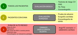 Esquema propuesto de evaluación cardiológica pretrasplante en función del riesgo cardiovascular. Notas: Los factores de riesgo cardiovascular deben controlarse adecuadamente antes del trasplante. La presencia de vasculopatía clínicamente significativa debe ser tratada y estabilizada antes del trasplante. Adaptado de Malhi et al.169.