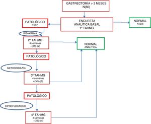 Algoritmo de estudio.
