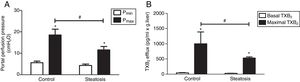 Influence of Zymosan on portal perfusion pressure and thromboxane B2 efflux. (A) Infusion of Zymosan (150μg/ml) into the portal vein of anesthetized rats from 40 to 46min after starting liver perfusion significantly increased portal perfusion pressure in control and steatosis groups (*P<0.05). Basal portal perfusion (Pmin) had no difference between two groups while the maximal portal perfusion pressure (Pmax) in control group is much higher (#P<0.05). (B) Zymosan infusion significantly increased thromboxane (TX) B2 efflux in both groups (*P<0.05). Comparing between these two groups, Zymosan caused a much higher maximal TXB2 efflux in control group (#P<0.05). n=5 in each group, data are expressed as mean±SD.