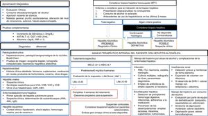 Algoritmo de manejo integral del paciente con hepatitis alcohólica. Evaluación diagnóstica, tratamiento específico, complicaciones hepáticas y abordaje del trastorno por cosumo de alcohol. AST: aspartato-transaminasa. ALT: alanin-transaminasa. GGT: ganmaglutamil-transferasa. INR: internationa normalized ratio. VHA: virus de hepatitis A. VHB: virus de hepatitis B. VHC: virus de hepatitis C. VHE: virus de la hepatitis E. CMV: citomegalovirus. EBV: Epsteinbar Virus. ANA: anticuerpos antinucleares. AML: anticuerpos anti-músculo liso. MEDL: model of end stage liver disease. ABIC: Age, bilirubin, INR, creatinine score. PBE: peritonitis bacteriana espontánea. ITU: infección del tracto urinario. SHR: síndrome hepatorrenal.