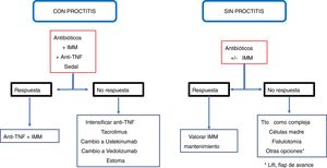 Tratamiento de las fístulas simples.
