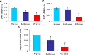qRT-PCR assay for evaluating OX1R, OX2R and prepro-Orexin mRNA expression in the tumor tissues of gastric cancer patients. (A) Evaluation for OX1R mRNA expression in tumor tissues. (B) Evaluation for OX2R mRNA expression in tumor tissues. (C) Evaluation for prepro-Orexin mRNA expression in tumor tissues. *p<0.05 vs. N group, #p<0.05 vs. CAG group.
