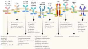 Funciones biológicas de las vías JAK.