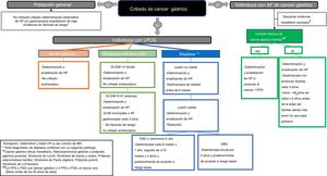 Estrategia de cribado del cáncer gástrico en población con baja incidencia. AF: antecedente familiar; DAG: displasia alto grado; DBG: displasia bajo grado; FPG: familiar primer grado; FSG: familiar de segundo grado; HP: Helicobacter pylori; IBP: inhibidor de bomba de protones.