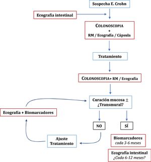 Papel de la ecografía intestinal en el diagnóstico y monitorización de la enfermedad de Crohn.