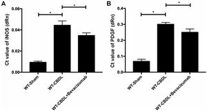 Effect of VEGF blockade by bevacizumab on production of PDGF mRNA (A) and iNOS mRNA (B) in WT-sham, WT-CBDL and WT-CBDL+Bevacizumab group. *P<0.05 represents the different value between two illustrated groups.