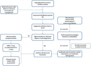 Algoritmo diagnóstico ERGE: enfermedad por reflujo gastroesofágico; HRIM: manometría esofágica con impedancia de alta resolución; SR: síndrome de rumiación.