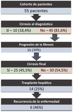 Evolución de la enfermedad hepática en nuestra cohorte de pacientes durante el seguimiento.