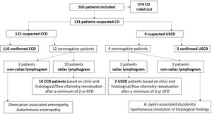 Flow chart of patients with diagnostic work-up during the study.