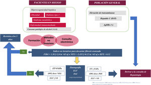 Algoritmo de detección y derivación de enfermedades hepáticas prevalentes (hepatitis B, hepatitis C, enfermedad alcohólica y esteatosis hepática metabólica). AAA: anamnesis; AUDIT, ANI; D1P: diagnóstico en un solo paso; ELF: European Liver Panel; ET: elastografía transitoria; HFS: Hepamet Fibrosis Score; NFS: NAFLD Fibrosis score.