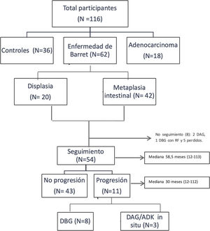 Diagrama de flujo del estudio.