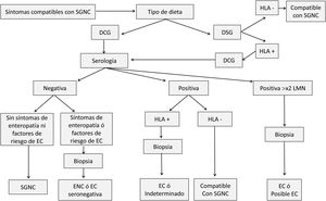 Esquema de pruebas diagnósticas para diferenciar la SGNC de la EC. Fuente: adaptado de Kabbani et al.9.
