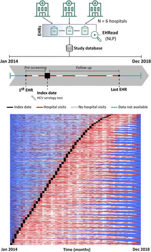 Patient inclusion dynamics. EHRead® technology is a system based on NLP that applies machine learning and deep learning to extract, analyze, and interpret the free-text information written in millions of de-identified EHRs. The unstructured free-text information from EHRs from the 6 participating sites is organized in a study database. Analyzed patients did not have a prior history of HCV mentioned in their EHRs and their records contained at least 12 months of follow up after HCV serology testing. The schematic timeline shows each patient being included in the study at the time that an HCV serology test was detected, referred to as index date (black box). The period from the first EHR to a patient