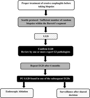 Diagnosis and management of low-grade dysplasia in Barrett