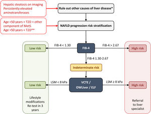 Diagnostic algorithm for NAFLD in patients with T2D. Two-step approach for screening for advanced liver fibrosis in individuals at risk. *Significant alcohol consumption, drugs, viral hepatitis, autoimmune hepatitis, hemochromatosis, and Wilson's disease. **The diabetic patients with the highest risk of fibrosis are: >50 years old, MetS, atherogenic dyslipidemia, hypertriglyceridemic waist phenotype, polycystic ovary syndrome and, long-standing diabetes (>10 years). ELF, enhanced liver fibrosis; FIB-4, fibrosis-4 index; MetS, metabolic syndrome; NAFLD, non-alcoholic fatty liver disease; T2D, type 2 diabetes; VCTE, vibration-controlled transient elastography.