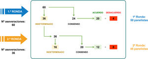Resultados principales del consenso Delphi.