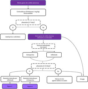 Inducción de la remisión del paciente con brote grave de colitis ulcerosa.