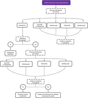 Inducción de la remisión del paciente con brote moderado de colitis ulcerosa corticodependiente.