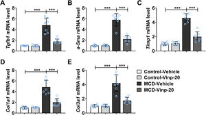 Treatment of Vinpocetine attenuated MCD-induced hepatic fibrosis in mice. Mice were exposed to MCD or chow diet with the treatment of Vinpocetine (20mg/kg) or vehicle for 8 weeks. (A–E) At the end of the experimental period, the mRNA expression levels of Tgfb1, a-Sma, Timp1, Col1a1, and Col3a1 in the liver were determined by RT-qPCR (n=7 per group).