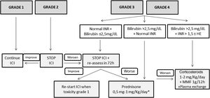 Proposed management of immune checkpoint inhibitors-induced hepatitis according to the CTCAE grading. * Assess the performance of liver biopsy, mainly in case of alternative diagnosis (other drugs, cancer infiltration, etc.). If bilirubin levels>2.5mg/dL, the beginning of steroids should NOT be delayed more than 48h. HE, hepatic encephalopathy; ICI, immune checkpoint inhibitor; MMF, mycophenolate mofetil.