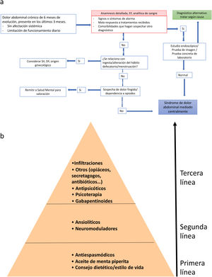A) Algoritmo diagnóstico del SDAMC. DF: dispepsia funcional; EF: exploración física; SII: síndrome de intestino irritable. * Determinación de hemograma, perfil básico, férrico, hepático, PCR y anticuerpos antitransglutaminasa tisular. Fuente: Adaptado de Sperber et al.72. B) Manejo del dolor abdominal funcional. El tratamiento de primera línea incluye revisión de medidas dietéticas y de estilo de vida, y tratamiento con aceite de menta piperita y antiespasmódicos. Si esto fracasa se incluirán neuromoduladores como los antidepresivos tricíclicos. La tercera línea de tratamiento incluye gabapentinoides, intervenciones psicológicas, antipsicóticos atípicos u otros fármacos con acción indirecta sobre el dolor. En casos de dolor invalidante se puede iniciar un tratamiento combinado con fármacos de diferentes niveles. Así mismo, si se dispone de psicoterapia esta se puede realizar en estadios precoces del tratamiento.