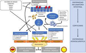 Relación fisiopatólogica entre la EII y la aterosclerosis.