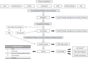 Evaluation of adult patients with cholestasis. Determination of BA may be considered in patients without conclusive findings in prior testing and with normal MRI/MRCP results. If BA are elevated, a genetic study may be considered without prior histological evaluation. ** A liver biopsy should be performed if not previously done (in cases where a genetic study was done without prior biopsy).