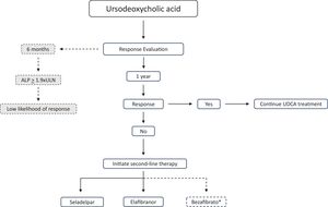 Algorithm for the management of patients with PBC. Response evaluation at one year of treatment can be performed using different validated response criteria, with the most commonly used being the Paris II and POISE criteria. Patients presenting an ALP level greater than 1.9 times the upper limit of normal (× ULN) at 6 months have a low probability of achieving a POISE response at one year. In such cases, the early initiation of a second-line therapy may be considered on an individual basis. * Bezafibrate is not approved for the indication of PBC at the time of writing this document.