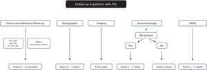 Recommended follow-up in PSC patients.