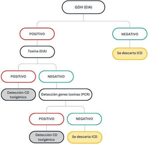 Algoritmo diagnóstico microbiológico de Clostridioides difficile toxigénico. CD: Clostridioides difficile; EIA: ensayo inmunoenzimático; GDH: enzima glutamato deshidrogenasa; ICD: infección por Clostridioides difficile; PCR: reacción en cadena de la polimerasa.
