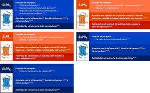 Los receptores de esfingosina 1-fosfato tienen otras funciones además del tráfico de linfocitos1–17. NK: natural killer; S1P: esfingosina-1-fostato; S1PR: receptor de esfingosina-1-fostato. *Efectos cronotrópicos son aquellos que modifican la frecuencia cardíaca, y los efectos dromotrópicos son aquellos que impactan la velocidad de conducción en el nodo auriculoventricular. 1. Peyrin-Biroulet L, et al. Autoimmun Rev 2017. 2. Tsai HC y Han MH. Drugs 2016. 3. Daum G, et al. Arterioscler Thromb Vasc Biol 2009. 4. Zacharia MA y Cyster JG. F1000 Biology Reports 2009. 5. Pyne N y Pyne S. Molcules 2017. 6. Gergely P, et al. Br J Pharmacol 2012. 7. DiMarco JP, et al. Mult Scler Relat Disord 2014. 8. Camm J, et al. Amm Heart J 2014. 9. Dillmann C, et al. J Immunol 2016. 10. Schutze T, et al. FASEB J 2011. 11. Watzer T, et al. Nat Immunol 2007. 12. Fang V, et al. Nat Immunol 2017. 13. Marsolais D y Rosen H. Nat Rev Drug Discov 2009. 14. Cantalupo A, et al. Hypertension 2017. 15. Yu OM y Brown JH. Mol Pharmacol 2015. 16. WilsP y Peyrin-Biroulet L. Immunotherapy. 2023. 17. Vieujean S y Peyrin-Biroulet L. Expert Opin Drug Metab Toxicol 2024.