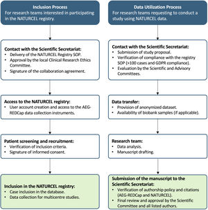 Algorithm illustrating the inclusion of patients in the multicentre NATURCEL registry and the process for requesting access to registry data. The left panel outlines the patient inclusion workflow: contact with the Scientific Secretariat, approval by the Clinical Research Ethics Committee, access to the database, and case entry. The right panel summarizes the data utilization process: submission of study proposals, compliance verification, approval by the Scientific Committee, data transfer, analysis, manuscript drafting, verification of authorship policy and citations, final review, and publication. Abbreviations: NATURCEL: Natural history, epidemiological, clinical, diagnostic, and therapeutic aspects of Coeliac disease and noncoeliac enteropathies registry; SOP: Standard Operating Procedure; GDPR: General Data Protection Regulation; AEG-REDCap: Research Electronic Data Capture platform hosted by the Spanish Association of Gastroenterology (Asociación Española de Gastroenterología).