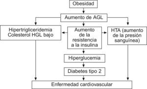 Papel de la obesidad en el síndrome metabólico. AGL: ácidos grasis libres; cHDL: colesterol unido a lipoproteínas de alta densidad; HTA: hipertensión arterial. Fuente: Braguinsky23.