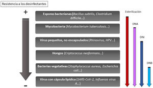 Nivel de resistencia a los desinfectantes de los diferentes microorganismos. DNA: desinfectante de nivel alto; DNI: desinfectante de nivel intermedio; DNB: desinfectante de nivel bajo. Fuente: Basseal et al.36.