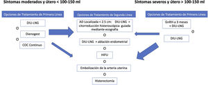 Resumen de las posibilidades de tratamiento para la adenomiosis. cm: centímetros; COC: contraceptivos orales combinados; DIU-LNG: dispositivo intrauterino de levonorgestrel; GnRH-a: análogos de la hormona liberadora de gonadotropina; HIFU: ultrasonido focalizado de alta intensidad; ml: mililitros. Fuente: adaptado de Dueholm M38.