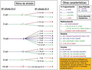Sistema de clasificación embrionaria de ASEBIR. Tomado de ASEBIR, 3.er Cuaderno de Embriología Clínica. 1.ª ed. Madrid: Góbalo; 2017.