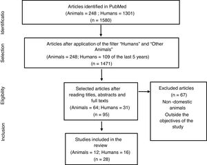 Study selection flowchart.