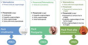 Estructura de las visitas tipo pack con la distribución de intervenciones presenciales y telemáticas de cada uno y el número de packs que se realizan anualmente. a: año.