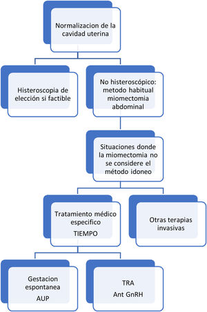 Paciente con miomas uterinos yesterilidad/infertilidad asociada.