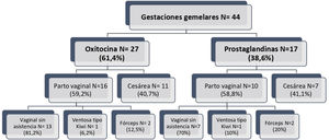 Vía del parto según el método de inducción: oxitocina vs. prostaglandinas.