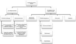 Clasificación de la insuficiencia ovárica primaria. Fuente: adaptado de Luisi et al.19 y Lailla20.