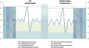 Cambios en los volúmenes pulmonares durante el tercer trimestre del embarazo. Los cambios más significativos son: disminución de la CRF (VRE+VR) y el incremento de la CI y del VT.